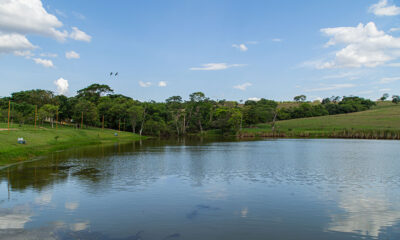 Recanto_dos_Ipes_04
