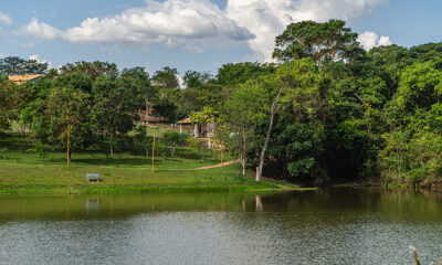 Recanto_dos_Ipes_06