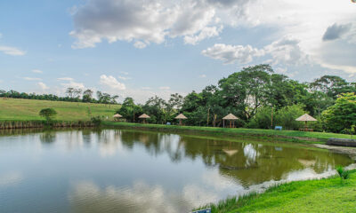 Recanto_dos_Ipes_07
