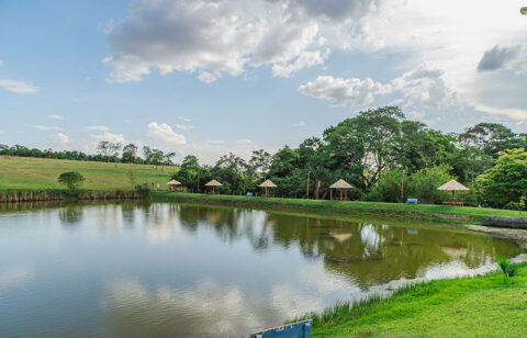 Recanto_dos_Ipes_07