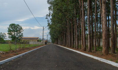 Recanto_dos_Ipes_11