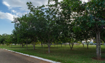 Recanto_dos_Ipes_14